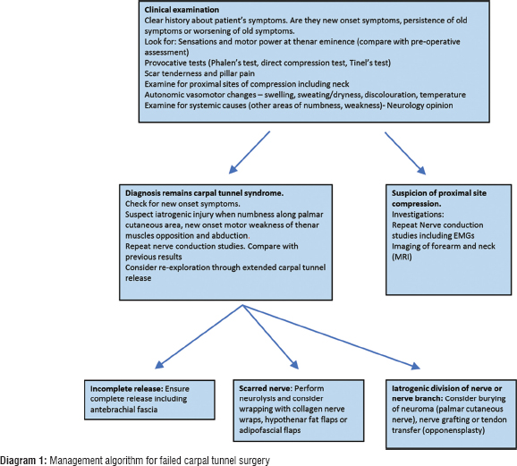 Failed carpal tunnel surgery: A guide to management - Journal of  Musculoskeletal Surgery and Research