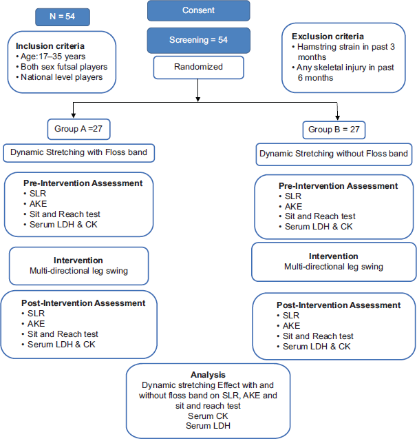 Consolidated standards of reporting trials. AKE: Active knee extension, SLR: Straight leg raise, CK: Creatine kinase, LDH: Lactate dehydrogenase.