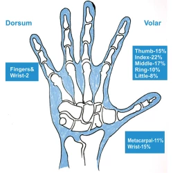 Article figure