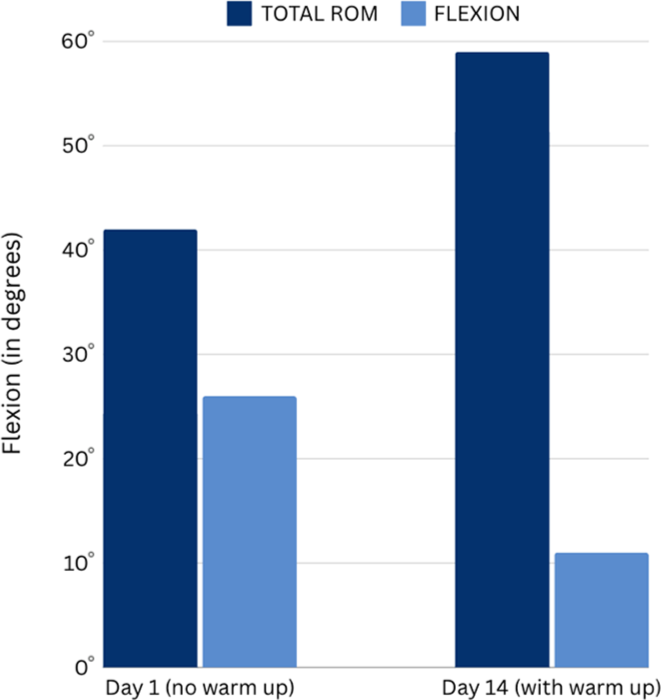 Day 1 versus day 14. ROM: Range of motion