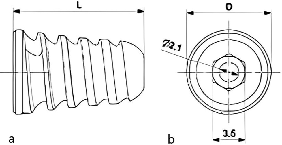 The screw used for arthroereisis procedure: (a) View of the screw at its maximum length, (b) View of the screw and its diameter.